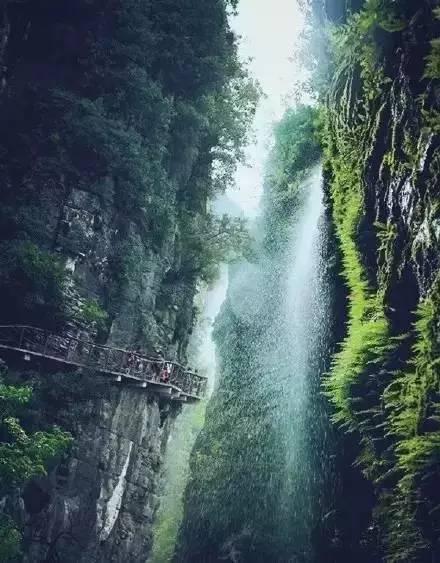 救援外星小怪物